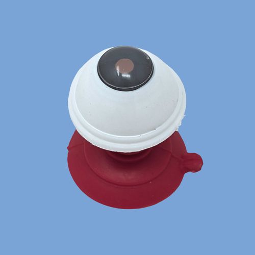 ACIOL İmplantasyonu Eğitimi