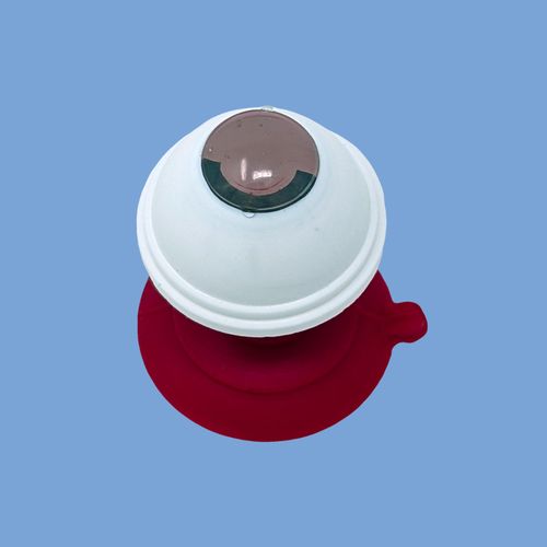 Kapslotomi Destei Eitimi