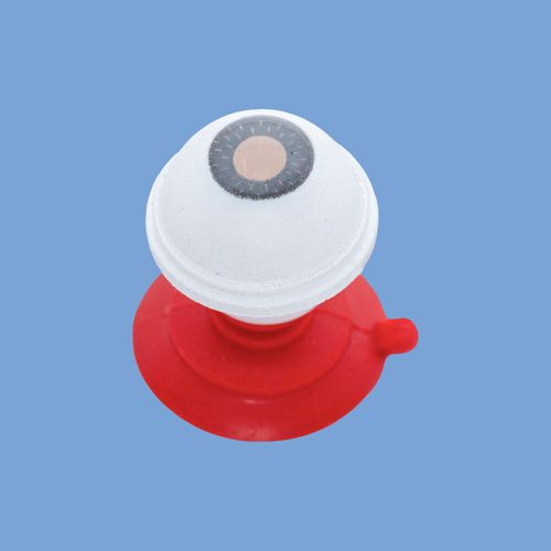 ris ve GL Fiksasyonu  Yamane Teknii