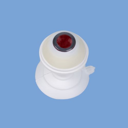 PPV (Pars Plana Vitrektomi)