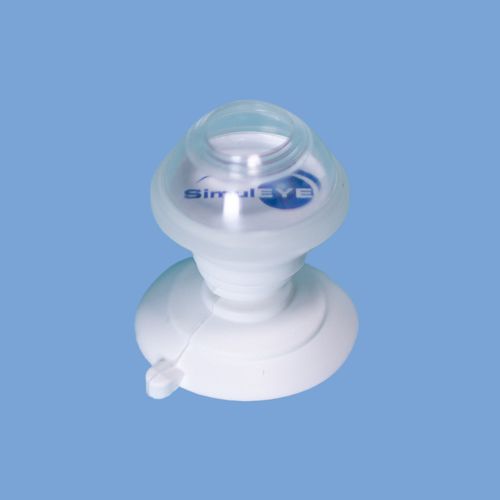 ris ve GL Fiksasyonu (ISIF) Ak  Yamane Teknii